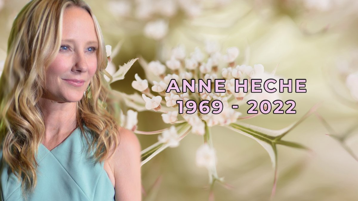 Anne Heche dead at 53