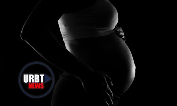 Pregnancy Robot from China Is Fake