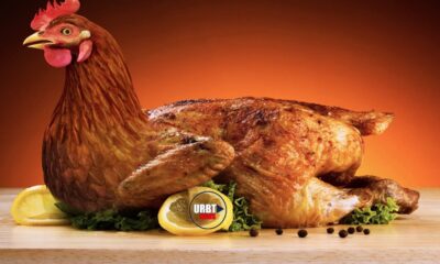 Are You Supposed to Wash Chicken