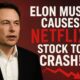 Elon Musk Causes Netflix Stock to CRASH! Is He to Blame?