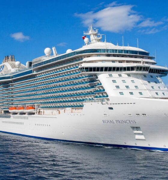 Disney Cruise Employees Detained in Child Exploitation Investigation
